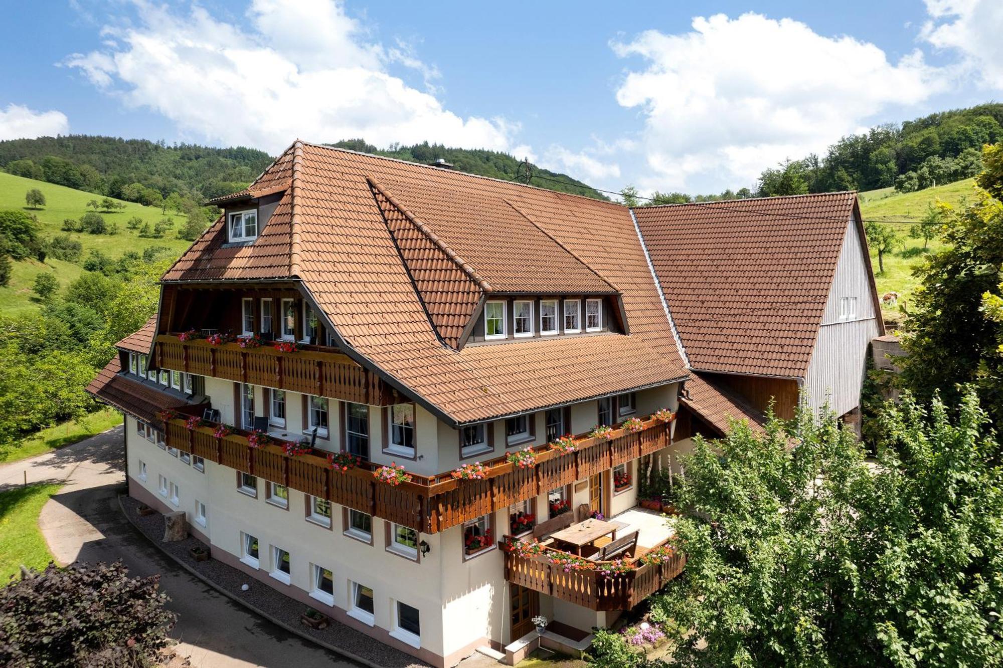 Apartament Danielenhof Freiamt Zewnętrze zdjęcie