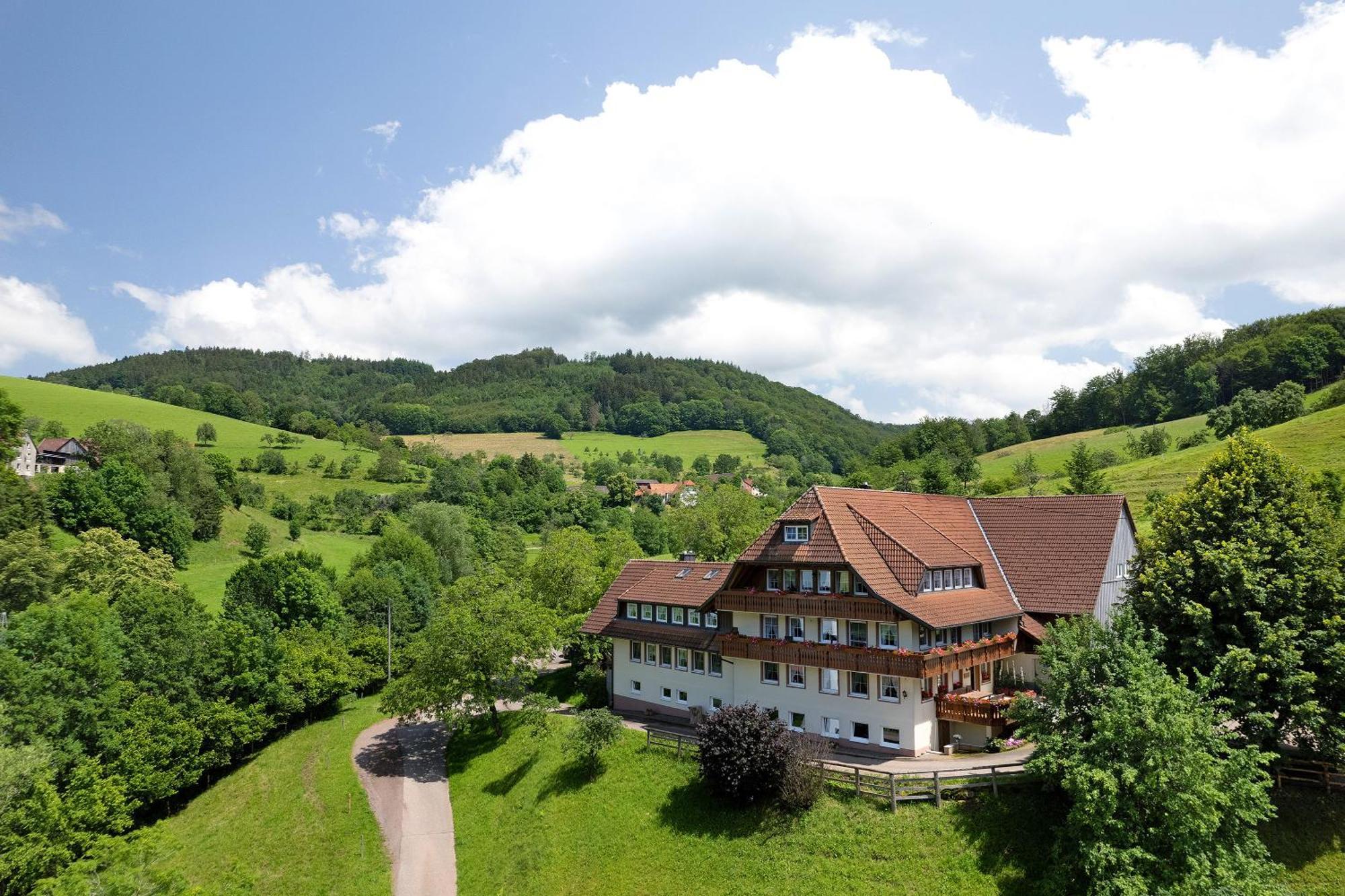 Apartament Danielenhof Freiamt Zewnętrze zdjęcie