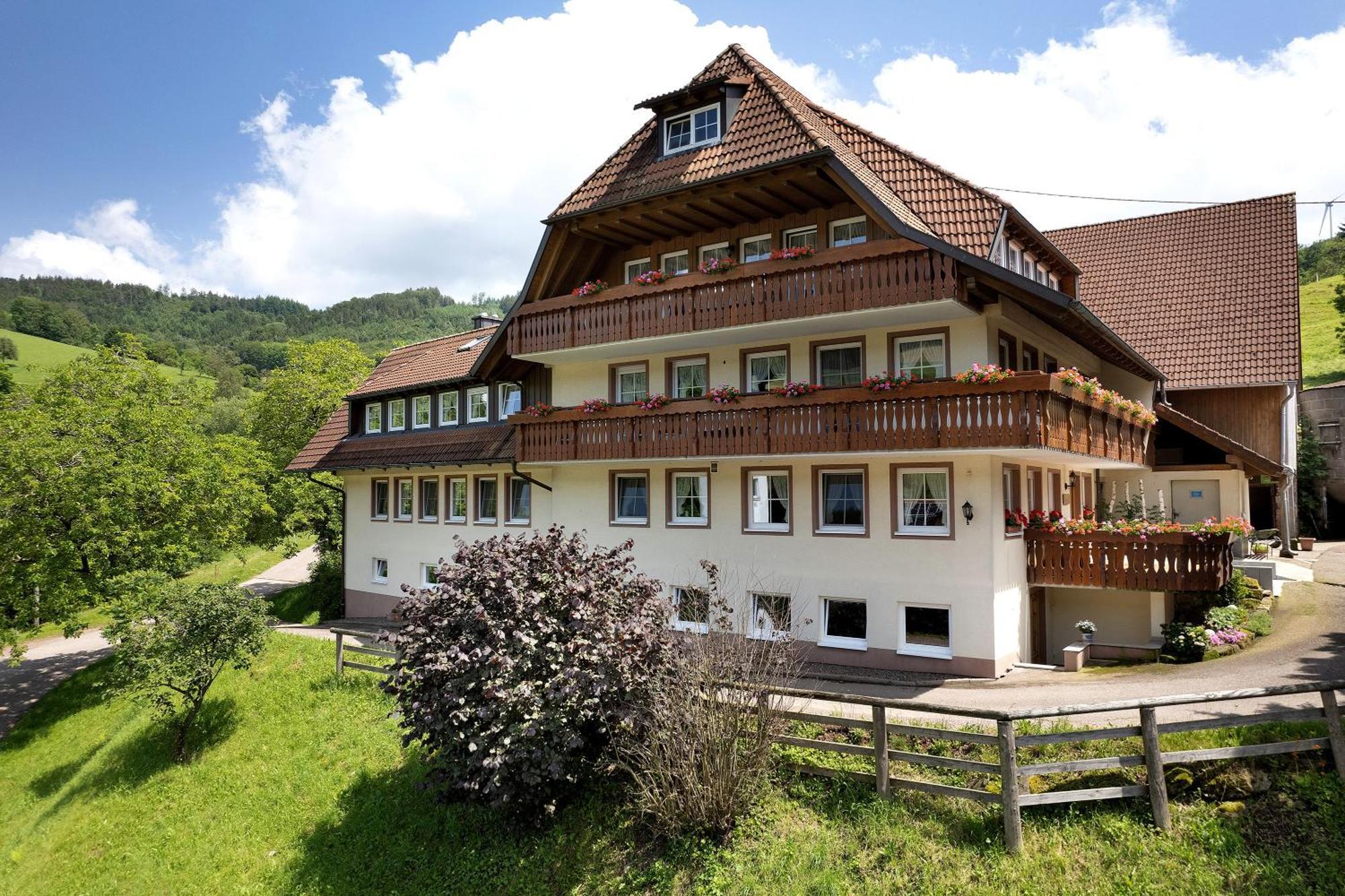 Apartament Danielenhof Freiamt Zewnętrze zdjęcie